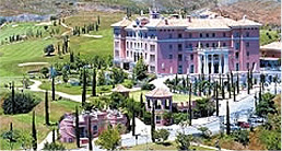 Flamingos
